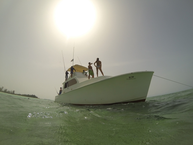  Fishing afternoons